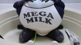 WWM - Mega Milk Giga Inflation