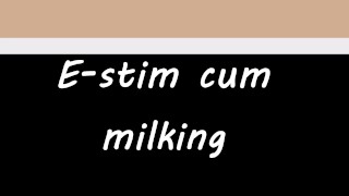 E-stim electro cum milking