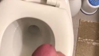 Sneaky cumshot in my bosses bathroom!