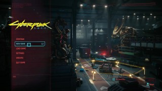 Cyberpunk Female Character Customization