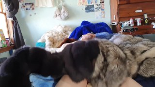 Me & My Furs