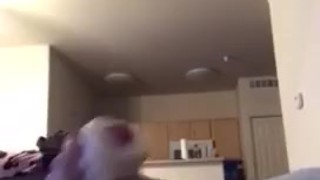 Pocket Pussy Fuck - Fat cock - Cum shot 