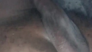 Cum suck on my balls 