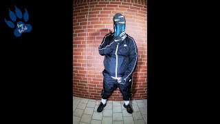 Scally Pup in shiny tracksuit pawing off and sniffing