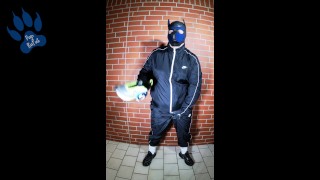 Scally Pup in shiny tracksuit pawing off and sniffing