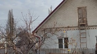 Late apple tree.