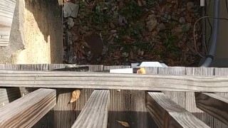 Outdoor piss