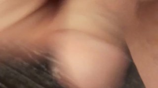 La bella sega
