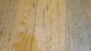 Solo squirting