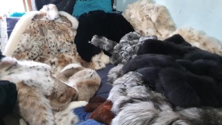 Another pleasure Day with My Furs.