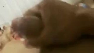 Dominicano de masturbandose y de derrama 