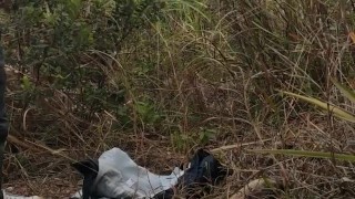 Ejaculated in the wild 