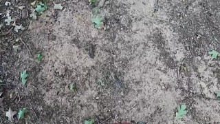 Uncut Cock Hike 120fps (HUGE CUMSHOT)