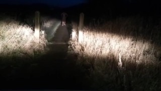 Naked walk at side of road