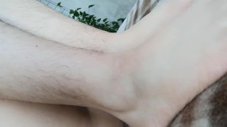 Little Hairy Closeup