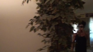 The Panther's Den