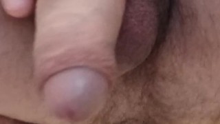 Morning pissing on the toilet.