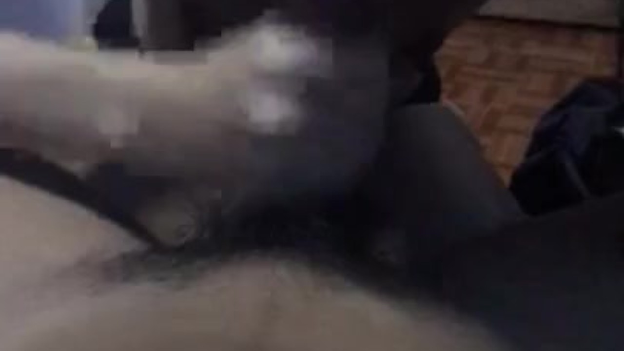 Girlfriend suck my dick omg - Threesome