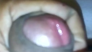 Para rica 