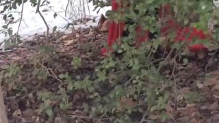 Let's Watch Snow White Play with her Pussy Under the Tree.