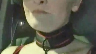 Collared and Leashed Driving Through Town