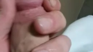 big white cock
