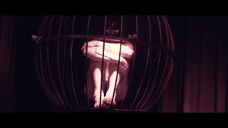 Amalie von Stein - Multiple Facets