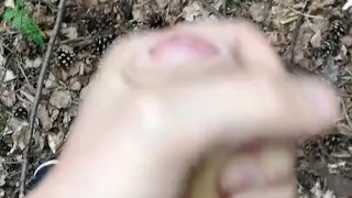 Aftrekken en klaarkomen in het bos