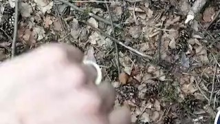Aftrekken en klaarkomen in het bos