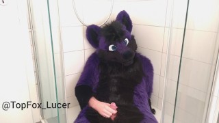 Lucer pissing on himself