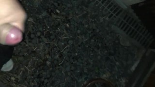 My Pseudo-Penis Penis My First Post Masturbation by Hand