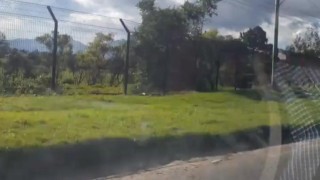 Quiero una chupado de un hombre en el carro 