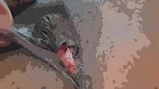 My cartoon pussy