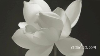 You Blossom - Erotic Freeverse - Erotic Audio Performed by Eve's Garden