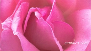 You Blossom - Erotic Freeverse - Erotic Audio Performed by Eve's Garden