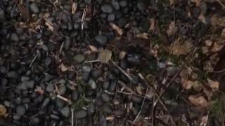 Masturbate my phimosis penis while peeling.My glans is red