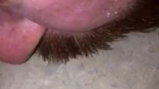 Jerking Off in the bathroom, I jizzed a huge cumshot onto the counter top and licked it all up.