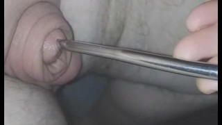 Inserting electro-sound into my huge flaccid cock.. moaning with pleasure