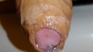 Uncircumcised hard cock plays with foreskin and pre-cum close-up, hard micropenis