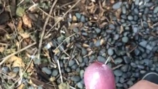 My little phimosis penis erects