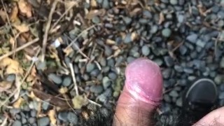My little phimosis penis erects