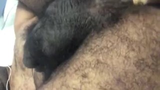 Quick ass play for daddy!