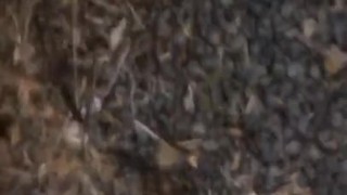 My penis ejaculates on masturbation. What do you guys think about this video?