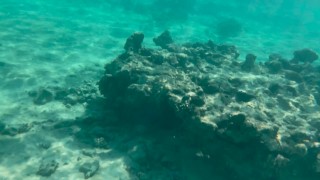 My naked diving on a public beach - rate what I can do underwater