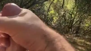 Big Hard Cock On A Rock - 9” hung and hairy dude Nude in Nature 