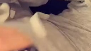 Flashing my dick out quick before roommate comes back 