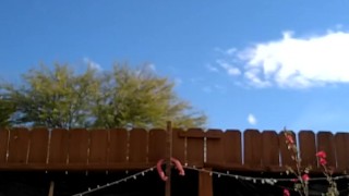 Working Hard On Yard