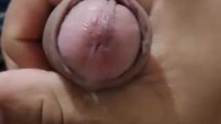 Lechecita en un pajaso