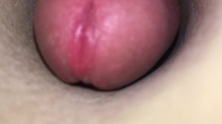 Just the tip! Thrusting my uncut cock into the inside of a toilet paper roll.