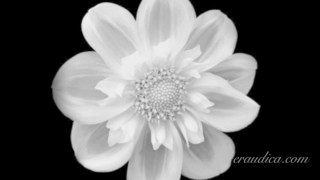 Rescue - Erotic Freeverse - Erotic Audio Performed by Eve's Garden